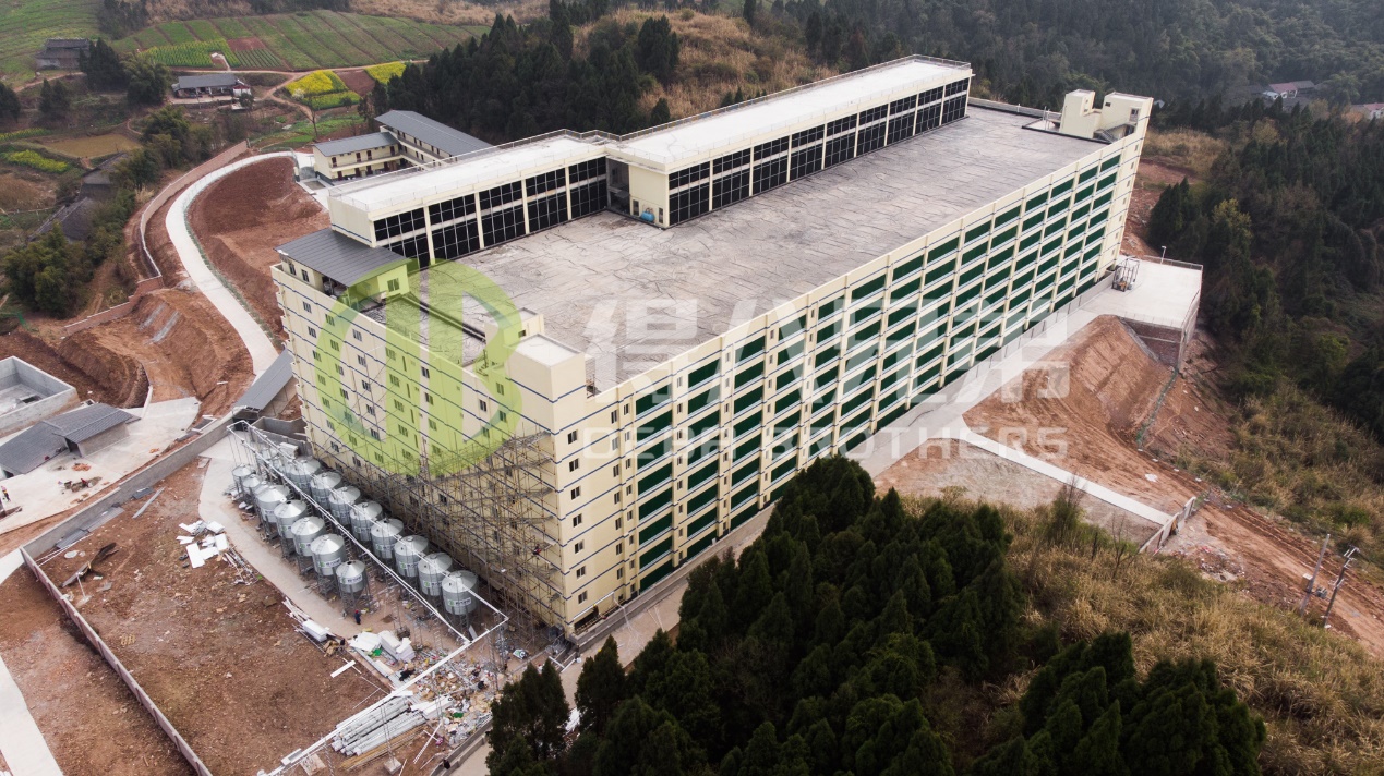 ວິທີການປັບປຸງຄຸນນະພາບສິ່ງແວດລ້ອມໃນການອອກແບບຟາມຫມູທີ່ທັນສະໄຫມ