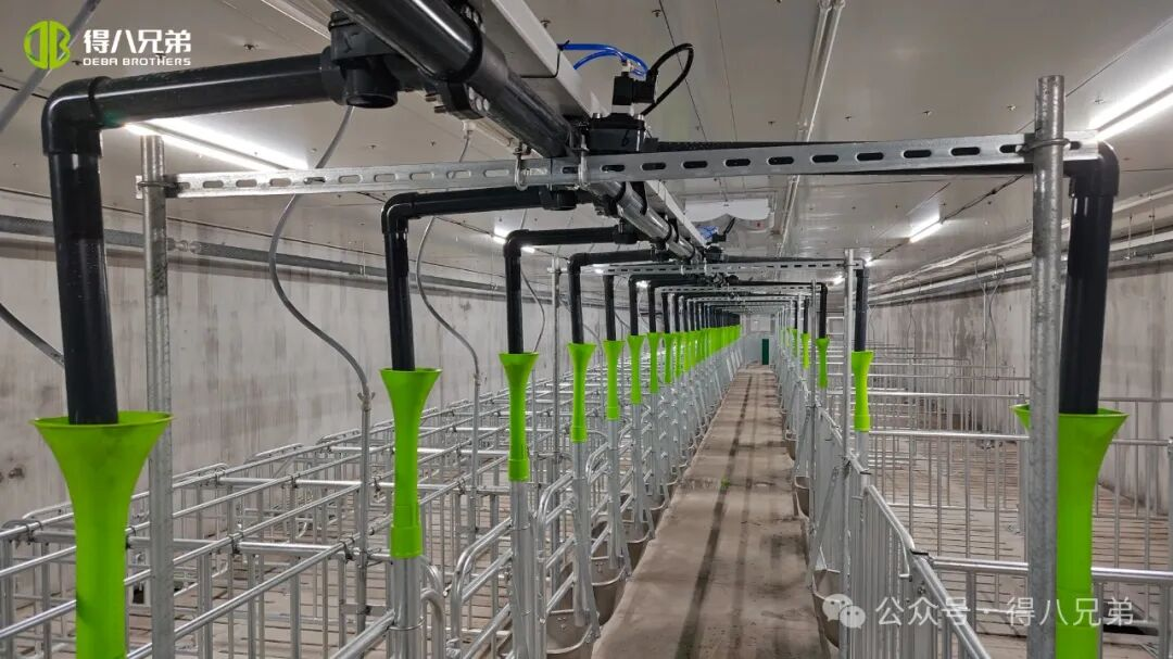 Deba Brother Licha ຖານສາທິດການລ້ຽງຫມູດໍາແລະການປູກຝັງ - ການດໍາເນີນງານແບບປະສົມປະສານ 2,000 Sows, 50,000 ການຂ້າສັດປະຈໍາປີ, 67,000 ຕາແມັດ