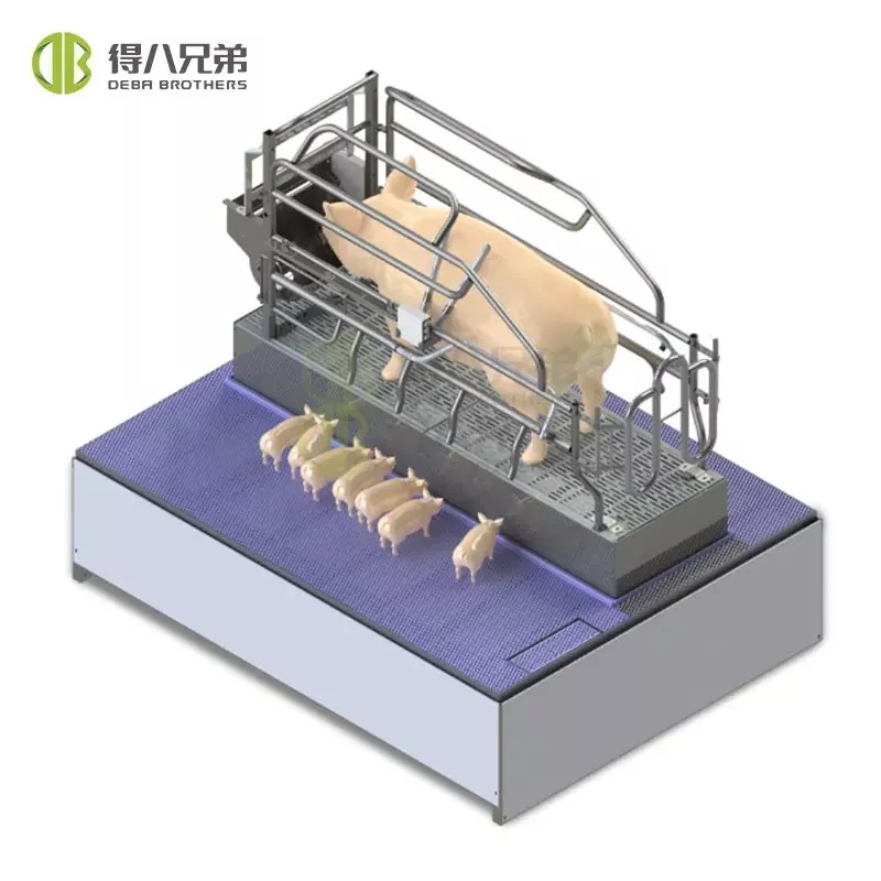 pig farm
